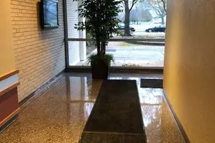 601 E 32nd St, Chicago, IL 60616 - Photo 25