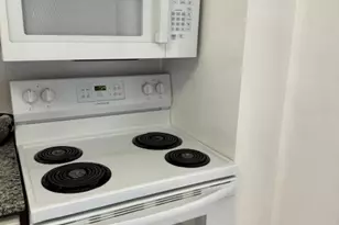 601 E 32nd St, Chicago, IL 60616 - Photo 9