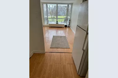 601 E 32nd Street #203, Chicago, IL 60616 - Photo 7