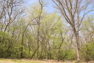 911 Echo Trail Lot 5, Marengo, IL 60152 - Photo 1