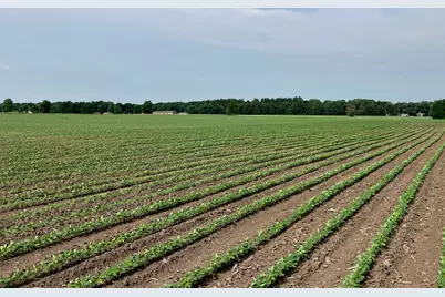 00 Kyte Road, Rochelle, IL 61068 - Photo 17