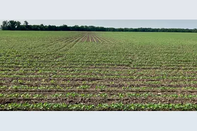 00 Kyte Road, Rochelle, IL 61068 - Photo 15