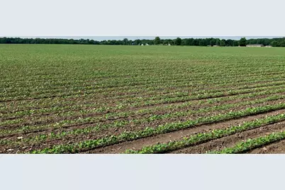 00 Center Road, Rochelle, IL 61068 - Photo 21