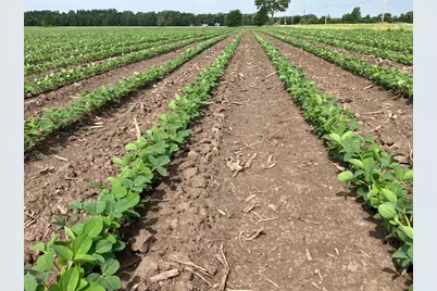 00 Center Road, Rochelle, IL 61068 - Photo 23