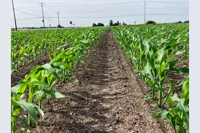 00 Center Road, Rochelle, IL 61068 - Photo 15