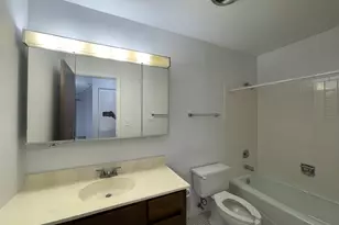 703 W Central Rd, Mount Prospect, IL 60056 - Photo 17