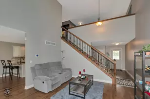 8233 Pecan Pl, Frankfort, IL 60423 - Photo 7