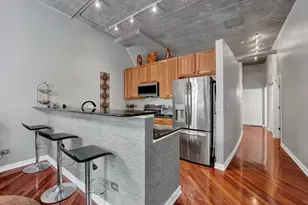 1151 W 14th Pl, Chicago, IL 60608 - Photo 5