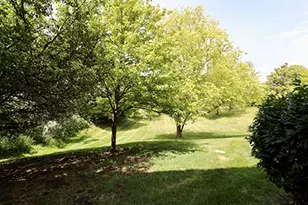 12936 W 159th St, Homer Glen, IL 60491 - Photo 19