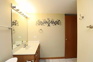 12936 W 159th St, Homer Glen, IL 60491 - Photo 9