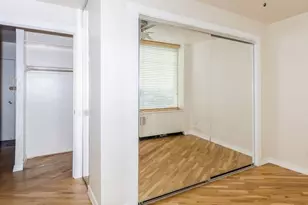 1455 N Sandburg Terrace, Chicago, IL 60610 - Photo 9