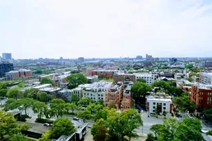 1455 N Sandburg Terrace, Chicago, IL 60610 - Photo 11