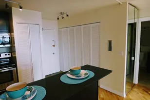 1455 N Sandburg Terrace, Chicago, IL 60610 - Photo 5