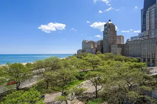 1040 N Lake Shore Dr, Chicago, IL 60611 - Photo 11