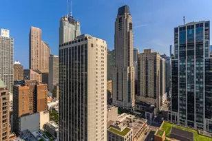 1030 N State St, Chicago, IL 60610 - Photo 15