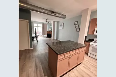 1631 S Michigan Avenue #402, Chicago, IL 60616 - Photo 13