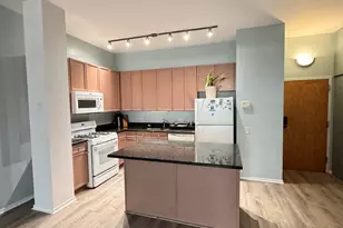 1631 S Michigan Ave, Chicago, IL 60616 - Photo 9