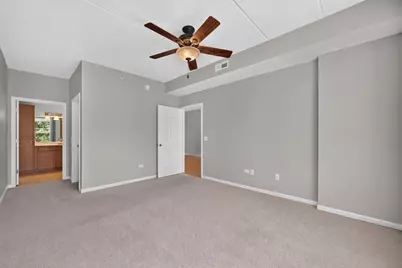 435 W Wood Street #311, Palatine, IL 60067 - Photo 17