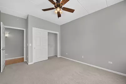 435 W Wood Street #311, Palatine, IL 60067 - Photo 23