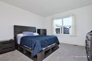 2285 Tupelo Wy, Wonder Lake, IL 60097 - Photo 9