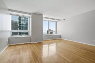 512 N McClurg Ct, Chicago, IL 60611 - Photo 5