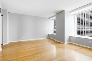 512 N McClurg Ct, Chicago, IL 60611 - Photo 9