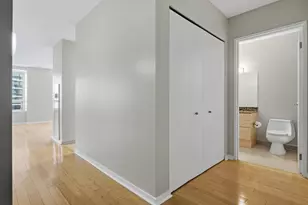 512 N McClurg Ct, Chicago, IL 60611 - Photo 13