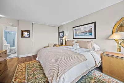 1000 N Lake Shore Drive #808, Chicago, IL 60611 - Photo 19