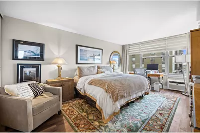 1000 N Lake Shore Drive #808, Chicago, IL 60611 - Photo 17
