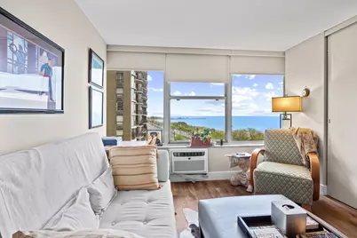 1000 N Lake Shore Drive #808, Chicago, IL 60611 - Photo 15