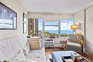 1000 N Lake Shore Dr, Chicago, IL 60611 - Photo 15