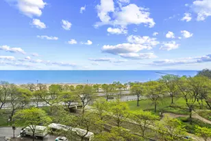 1000 N Lake Shore Dr, Chicago, IL 60611 - Photo 29