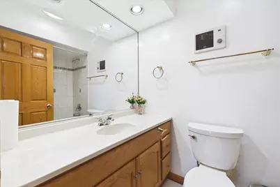 238 Westmoreland Drive, Wilmette, IL 60091 - Photo 29