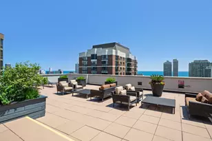 1122 N Dearborn St, Chicago, IL 60610 - Photo 21