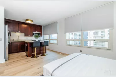 33 W Ontario Street #31D, Chicago, IL 60654 - Photo 9