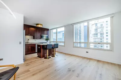 33 W Ontario Street #31D, Chicago, IL 60654 - Photo 5