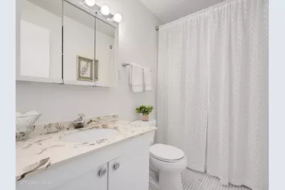 1001 N Mill Street #311, Naperville, IL 60563 - Photo 13