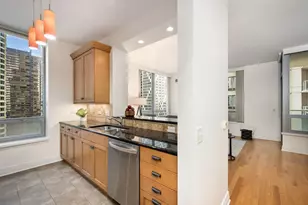 600 N Lake Shore Dr, Chicago, IL 60611 - Photo 13