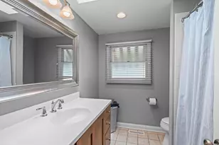 1211 W Haven Dr, Arlington Heights, IL 60005 - Photo 19