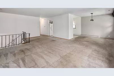 102 Hill Street, Roselle, IL 60172 - Photo 9