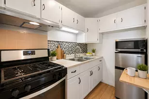 5300 S Shore Dr, Chicago, IL 60615 - Photo 5