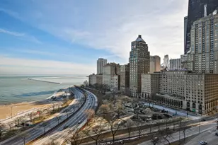 1040 N Lake Shore Dr, Chicago, IL 60611 - Photo 25