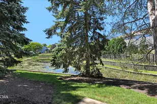 2637 N Greenwood Pl, Arlington Heights, IL 60004 - Photo 23