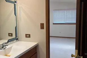 17514 S Robert Emmett Dr, Homer Glen, IL 60491 - Photo 29
