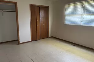 17514 S Robert Emmett Dr, Homer Glen, IL 60491 - Photo 21