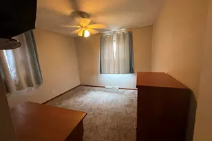 353 Irene Ave, Rochelle, IL 61068 - Photo 13