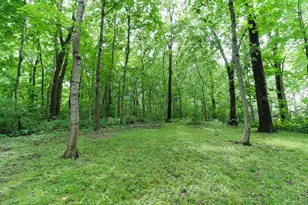 1701 Sweetbriar Dr, Bloomington, IL 61701 - Photo 51