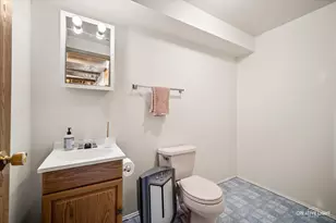 316 Old Mill Ln, Hampshire, IL 60140 - Photo 15