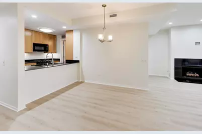 400 N Clinton Street #401, Chicago, IL 60654 - Photo 11