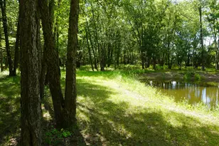 16405 E 3500N Rd, Momence, IL 60954 - Photo 41